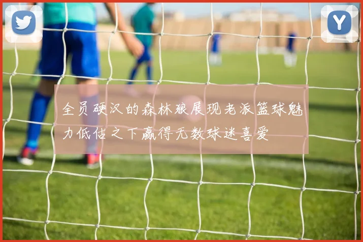 全员硬汉的森林狼展现老派篮球魅力低估之下赢得无数球迷喜爱